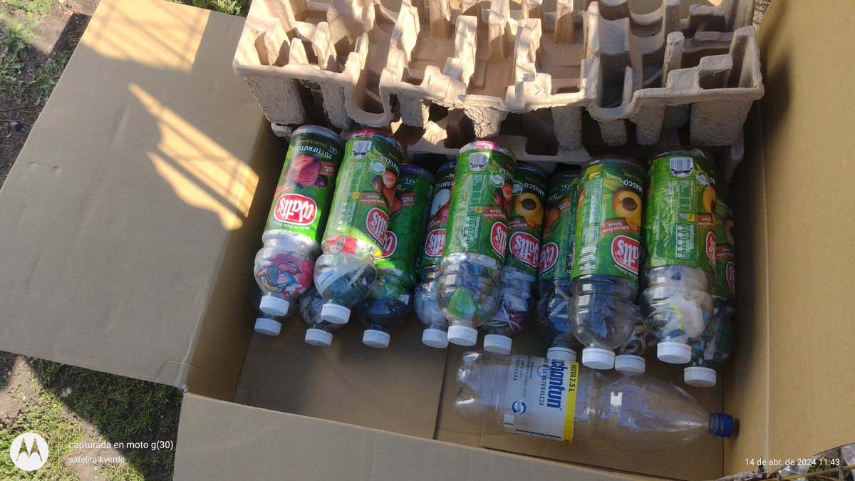 titohidalgo18's tweet photo. @Geosorno01 @muni_osorno @osornoonline2 @paislobo @SOYDEOSORNO1 @DPPOsorno @OsornoOficial  los dejé en acopio de reciclaje en casa del folclore , nunca tuve respuesta de dónde llevar por más que le pregunte a la alcaldia https://t.co/TLeZgf7o87
