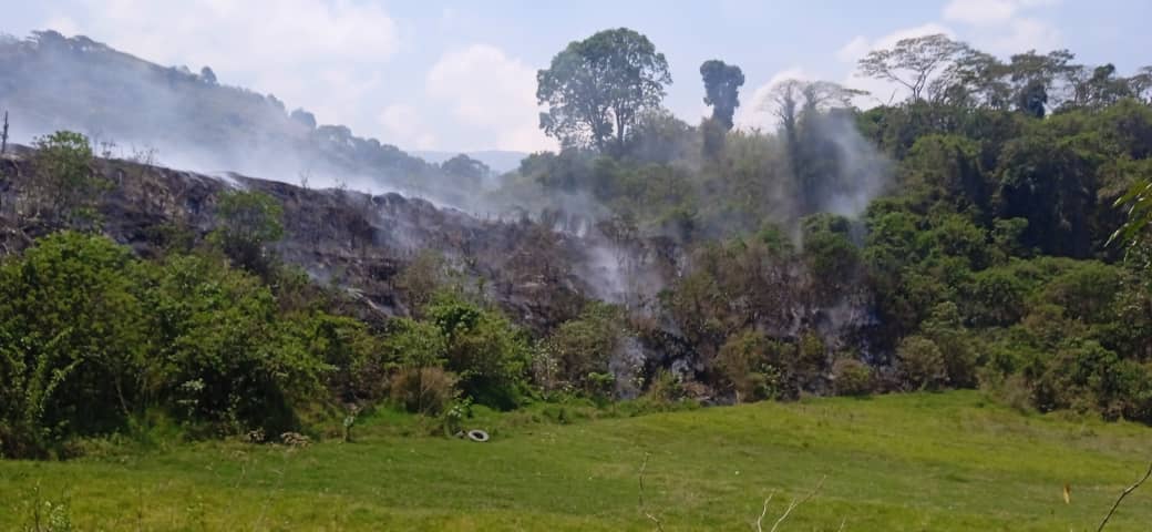 BoconoAlcaldia's tweet photo. Tras el incendio provocado cerca del vertedero de basura y la intención de generar zozobra en #Bocono funcionarios bomberiles y de Protección Civil combatieron es más de un 90% las llamas y continúan las labores para extinguirlas en su totalidad.  @Alejandro_psuv2 https://t.co/NP5EkyrSO2