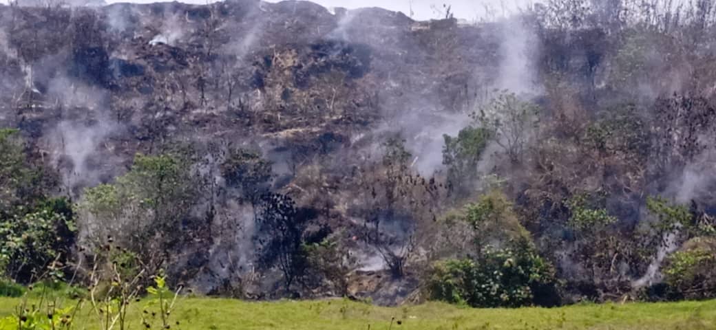 BoconoAlcaldia's tweet photo. Tras el incendio provocado cerca del vertedero de basura y la intención de generar zozobra en #Bocono funcionarios bomberiles y de Protección Civil combatieron es más de un 90% las llamas y continúan las labores para extinguirlas en su totalidad.  @Alejandro_psuv2 https://t.co/NP5EkyrSO2