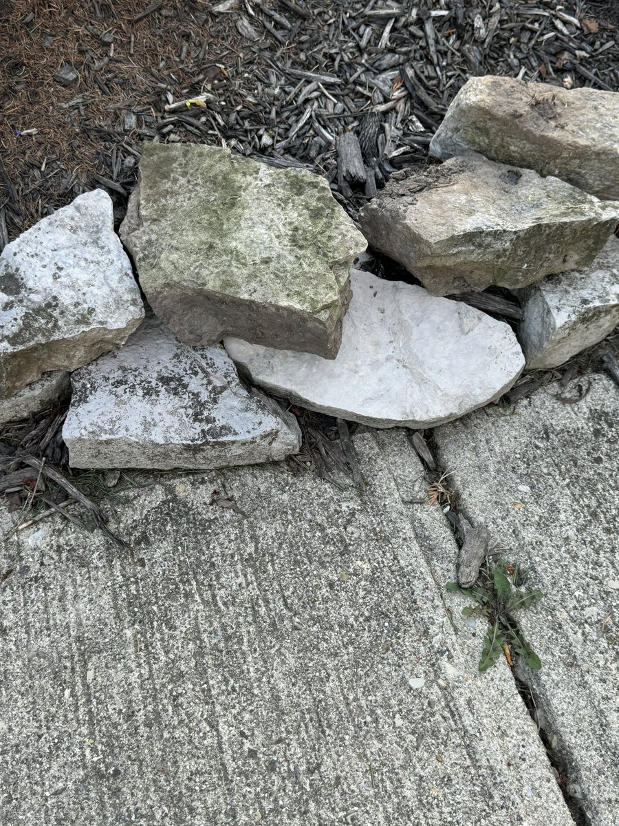 Any idea what these rocks are? I need more and don’t know what to ask for.