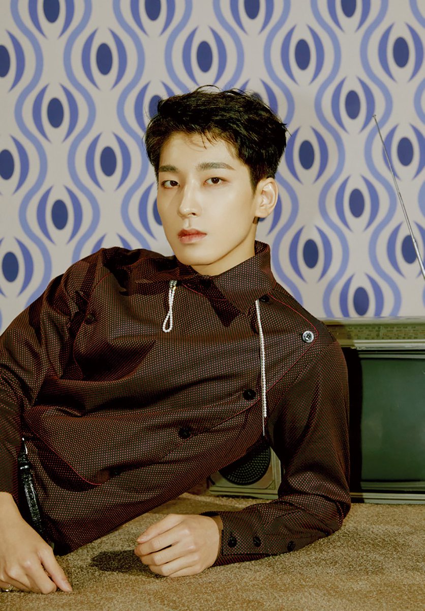 Wonwoo17Chile tweet picture