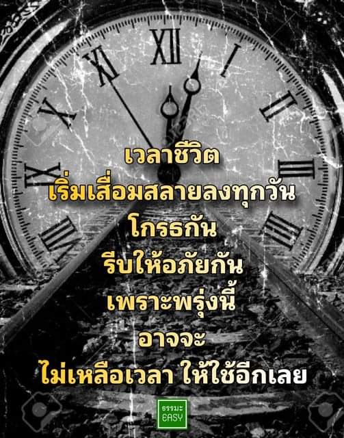 Madmonkey ♊ tweet media