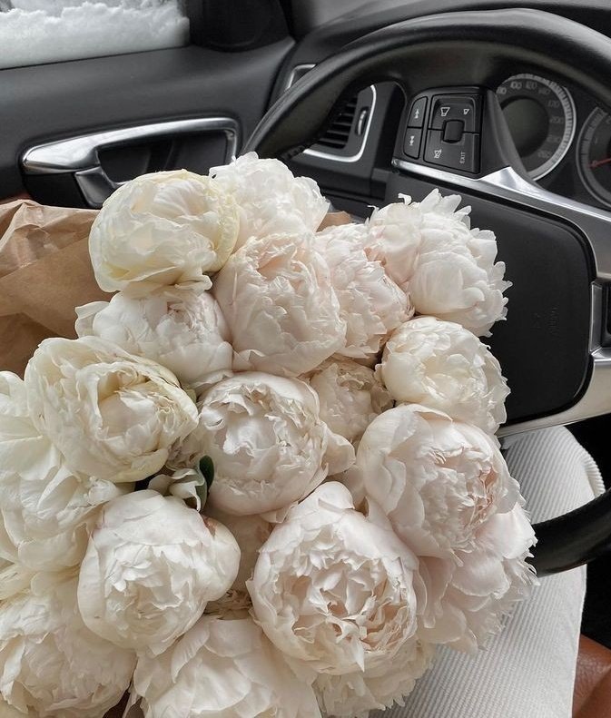 white tulips or white peonies?