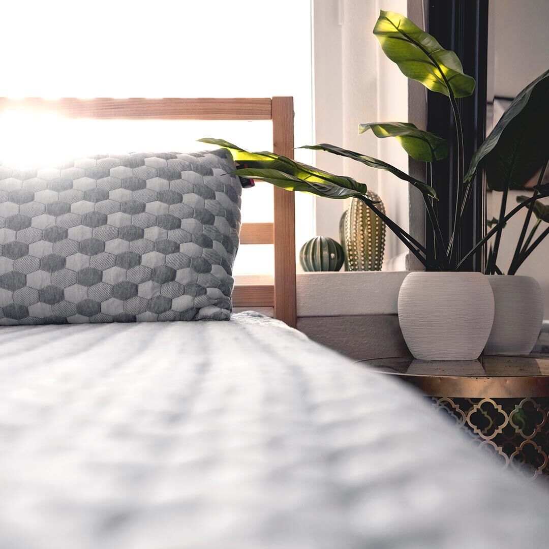 🎶 Easy like Sunday Morning🎶 
bit.ly/42CnG1X

#LaylaSleep #SleepBetter #LiveBetter #InvestinRest #Sunday #Sundayvibes #Weekendvibes #Chillvibes #Bed #Bedroom #BedroomInspo #Plants #HousePlants #Fyp #Explore