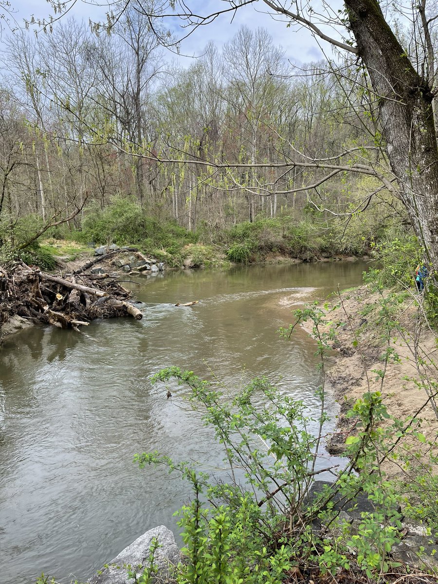 Emily Benz tweet media