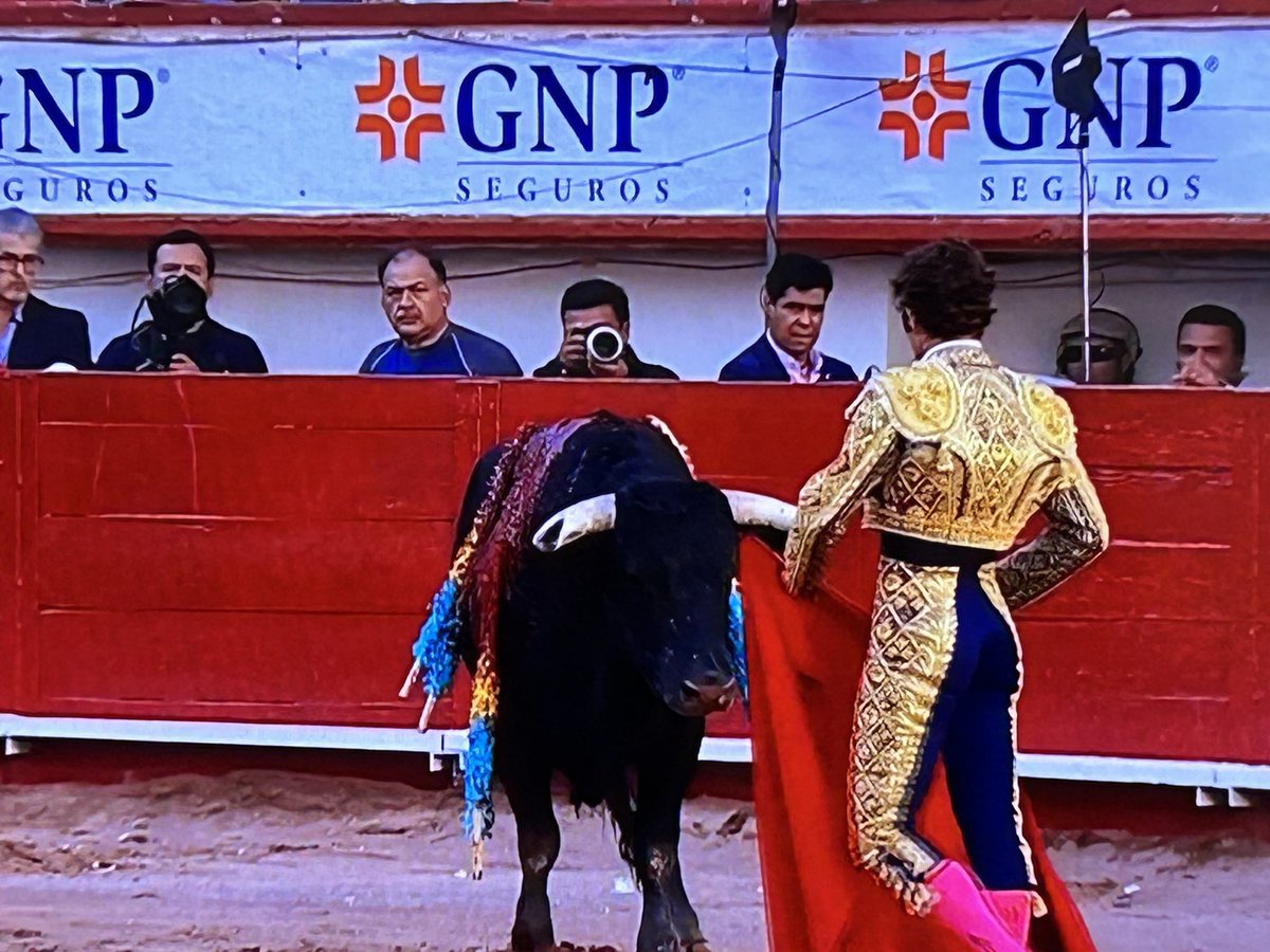 Buscando que ver en la tele, encuentro el canal UNICABLE, que están pasando una corrida de toros, de Aguascalientes parece y la plaza super vacía! Que gusto que no vayan a esas mdrs. 
#Viviresincreíble dice el Toro