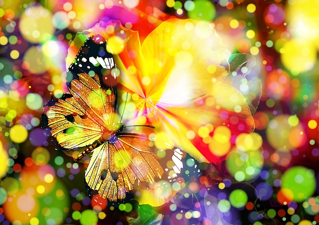 Photo By geralt | Pixabay 
 #butterfly #bokeh #magic #beauty #hudabeauty #beautyblogger #beautyblog #beautyandthebeast