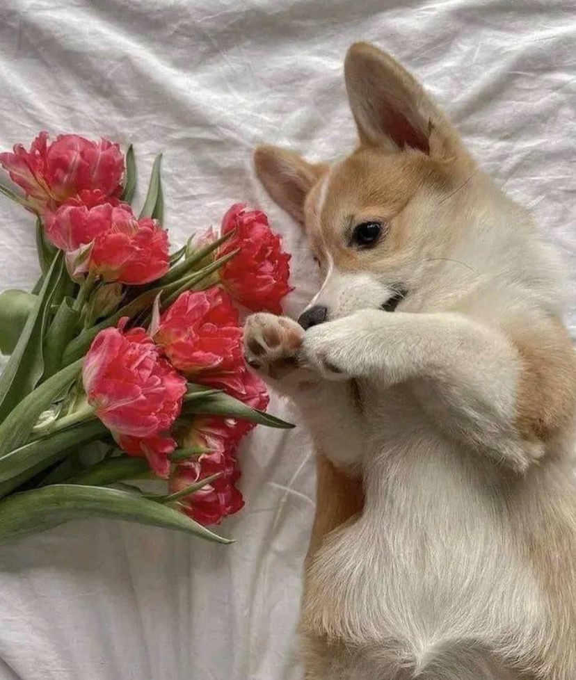 Perfect shot 💯🎊