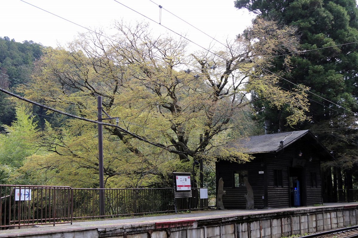 週末の沿線の様子です。
新緑が芽吹き始めました。

4月20日から「青もみじ新緑の徐行運転」が始まります。
▼詳しくはこちら
eizandensha.co.jp/event/detail20…

#叡電 #叡山電車 #青もみじ #新緑 #京都 #kyoto