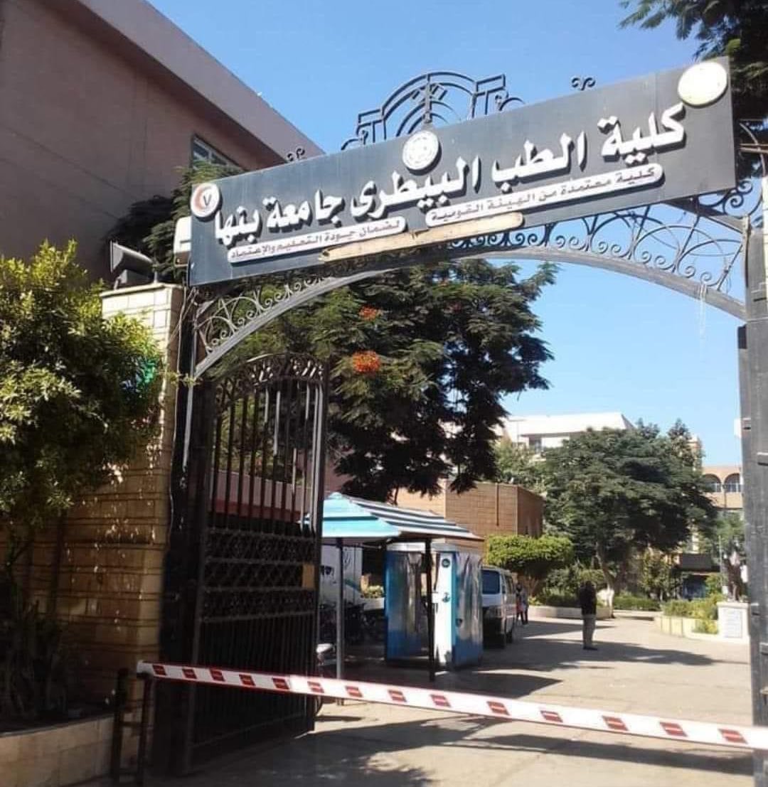 الصوره تكفي