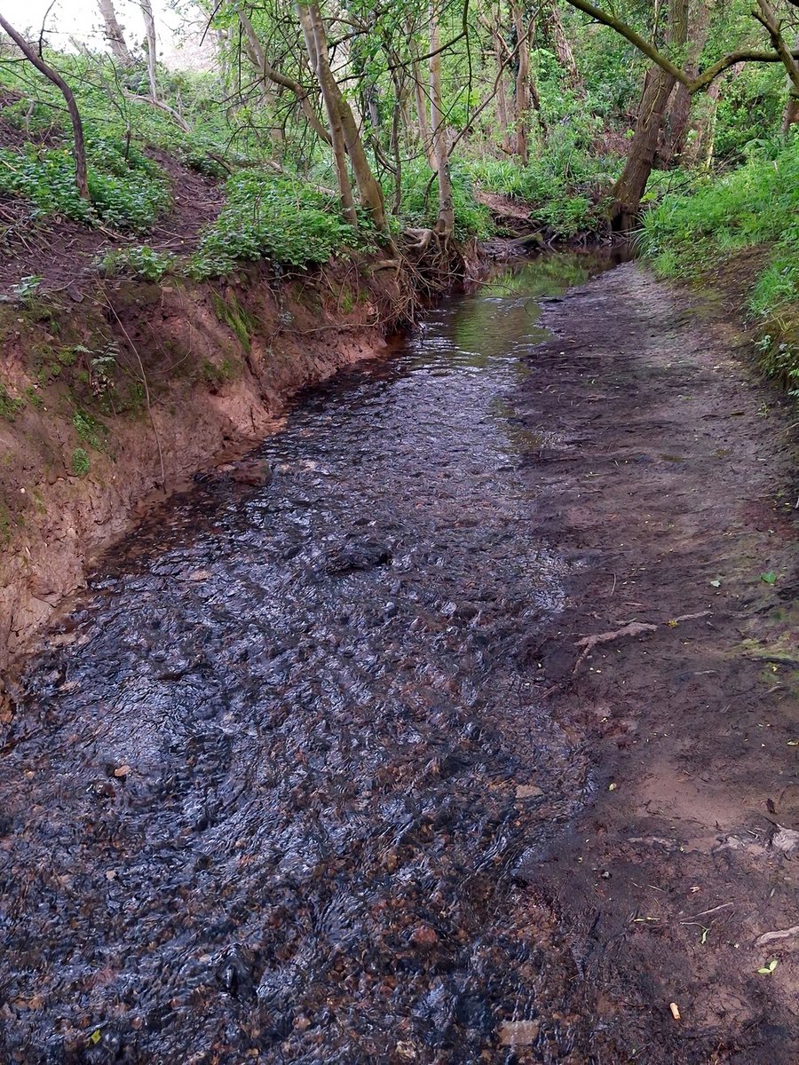 squaresteps's tweet image. Scene" on my daily walk. A 4picture mini blog of what I saw over about 4 miles.
Focus on the river today -
It's called the Scriabourne (Clear stream) with good reason
Under the motorway the kids have done a repaint
And a 'professional' has added to it
But there's always someone!!
