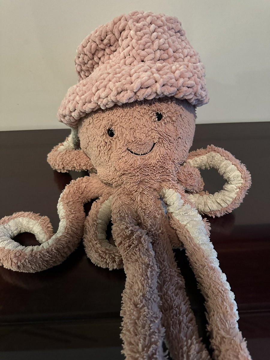 CryptoHayes's tweet image. Omar the Octopus says “The hat stays on”

I’m $WIF you buddy.
