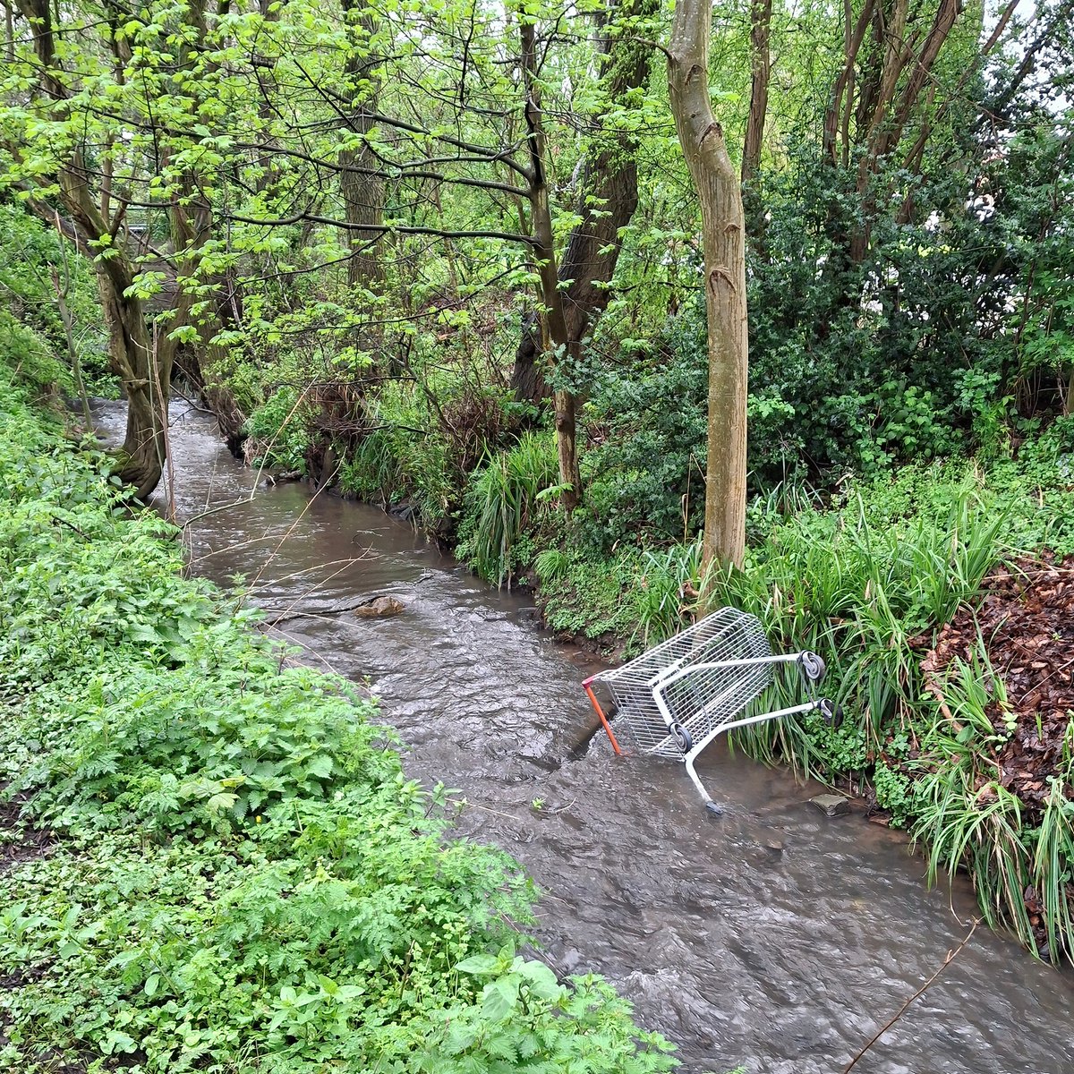 squaresteps's tweet image. Scene" on my daily walk. A 4picture mini blog of what I saw over about 4 miles.
Focus on the river today -
It's called the Scriabourne (Clear stream) with good reason
Under the motorway the kids have done a repaint
And a 'professional' has added to it
But there's always someone!!