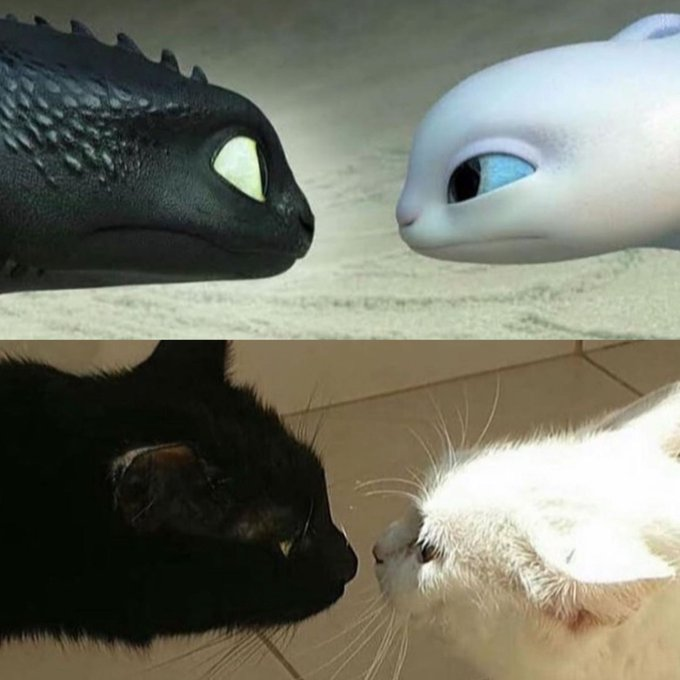 Eventuallyly's tweet image. A perfect copy of reality