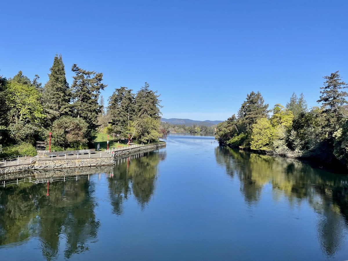 ☀️Today's weather photo captured the endless blue skies and sunshine along the Gorge Waterway #YYJ this morning. 🛶I'll have your #VancouverIsland forecast on @CHEK_News at 5. 📷Paul Young @CHEK_media #ShareYourWeather