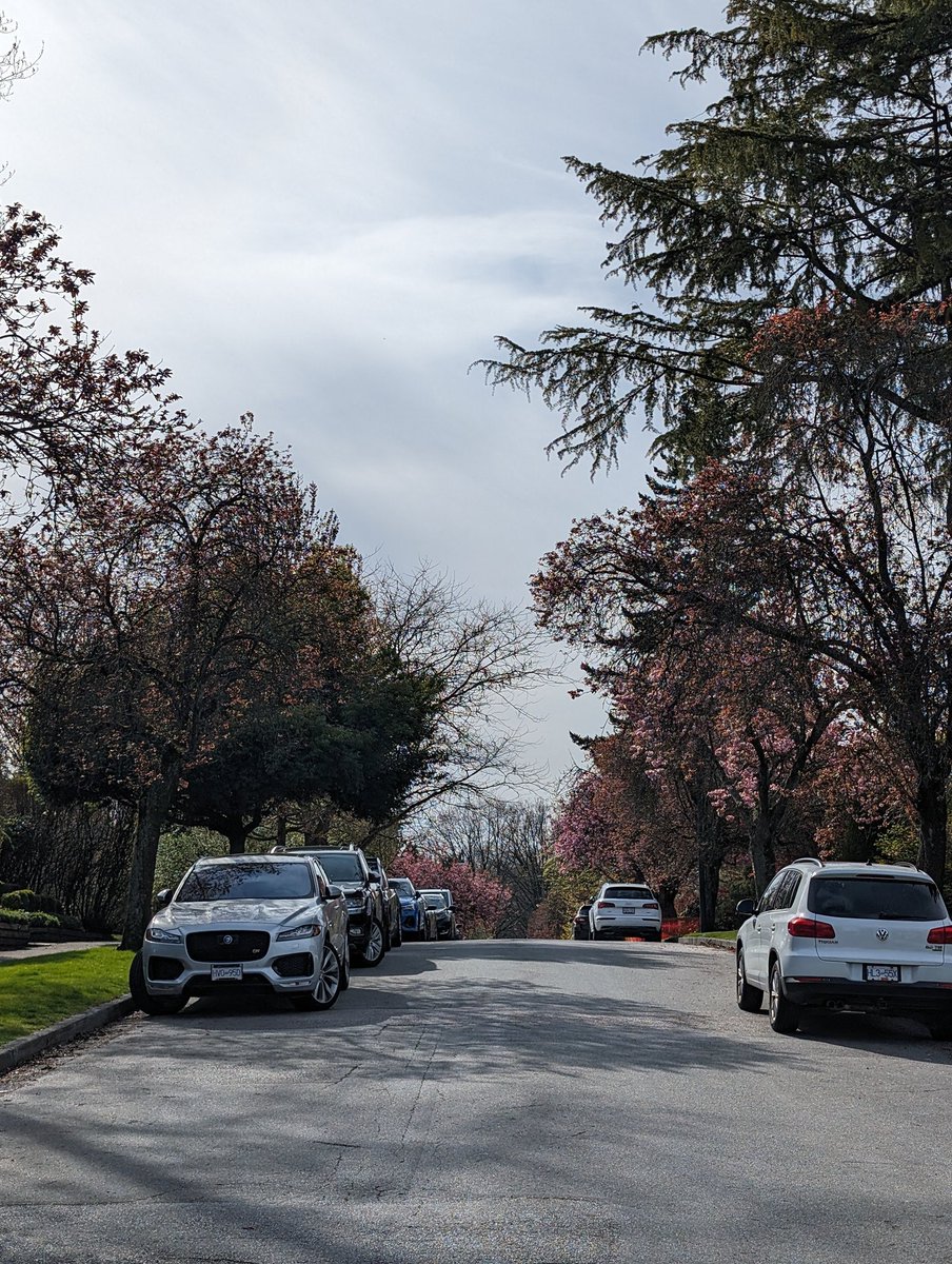CleanUpBurnaby's tweet photo. 2024 #CleanUpEverywhere Campaign Update, Day 62

AREAS CLEANED UP: 
#Vancouver - West 31st Avenue &amp; Trafalgar area 

PICKED UP: 
- 2 pounds of garbage [YTD: 355 lbs]
- 2 face masks [YTD: 102] https://t.co/rlWyOZ7aYB
