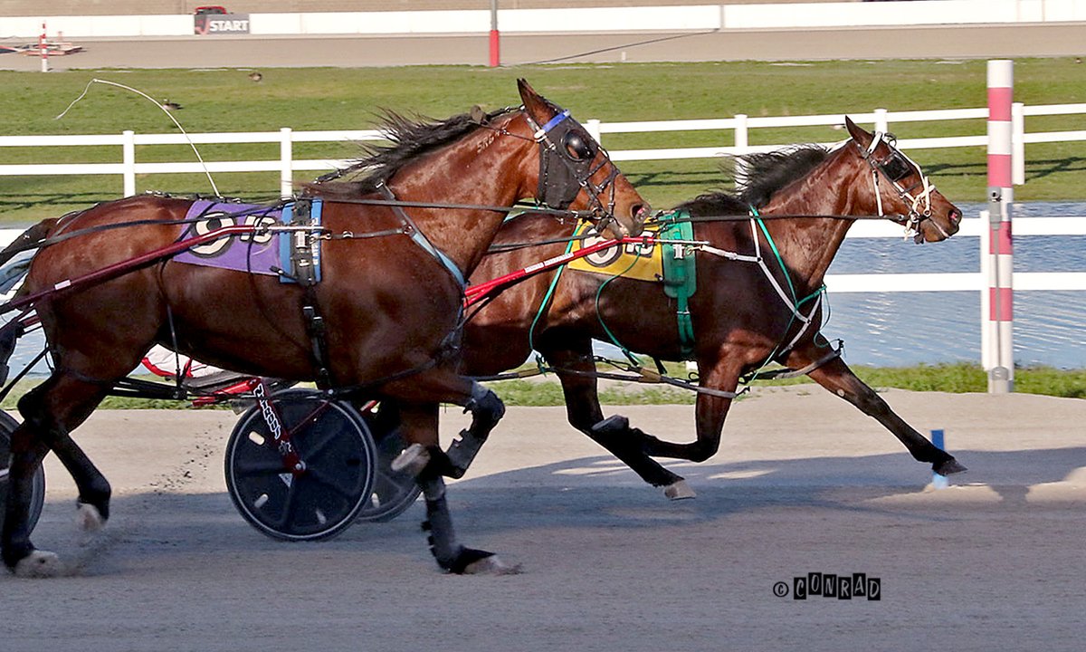 pacerfoto's tweet photo. Kentukylady led gate-to-wire as the even money favorite to win the $34,000 Open Handciap Pace for fillies and mares this evening @MVGOHIO.  Kayne Kauffman steered the 5 year old to her 4th win of the year for trainer, Michael Arnold, in 1:51.2.  @That1BarryGuy https://t.co/vJxC80PBMq