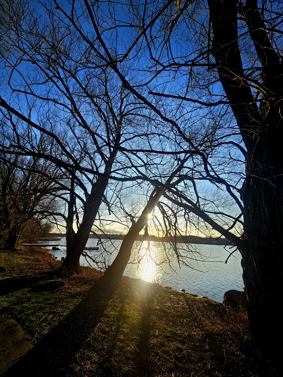 The sun finally came out! Warmer and sunnier days ahead. 

#YGK