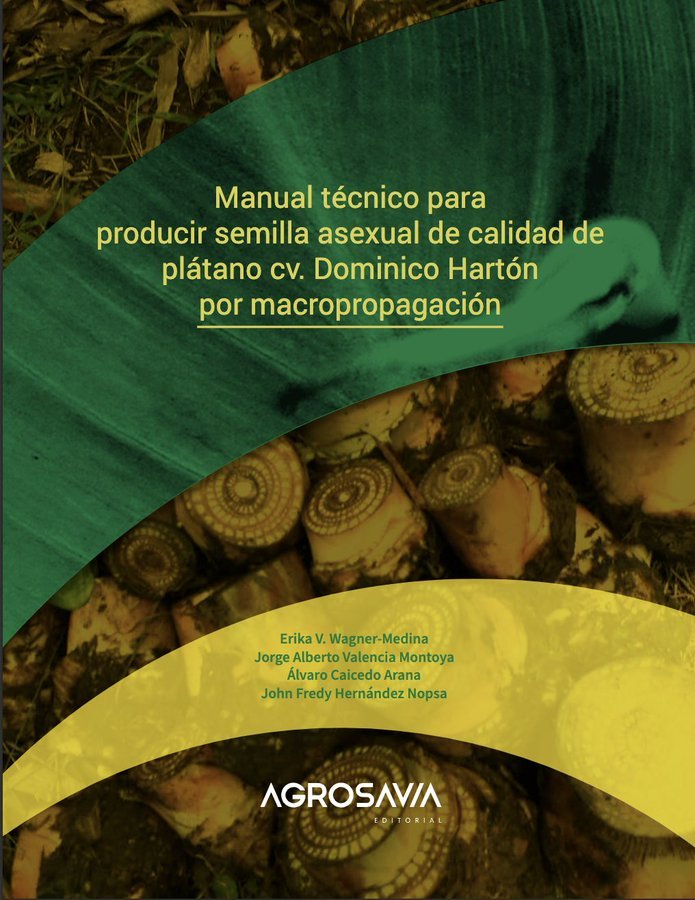 Muy bien por la publicación de <a href="/SomosAGROSAVIA/">AGROSAVIA</a> sobre macropropagación del plátano hartón Dominico con semilla asexual. Búsquenla que se agota y Petro de eso tampoco sabe. Felicitaciones a los técnicos.