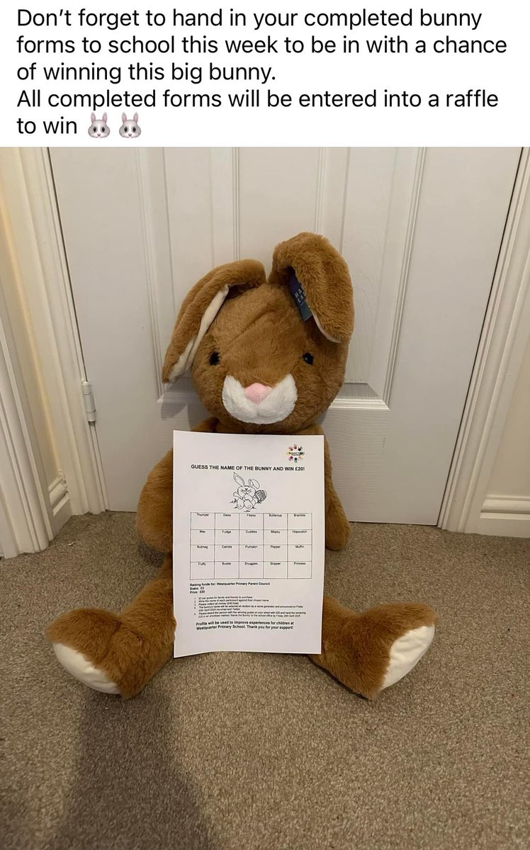 Don’t forget to hand in your completed bunny forms this week to be in with a chance of winning this lovely toy! 💕💕🐇 <a href="/WestquarterPrim/">Westquarter Primary</a>