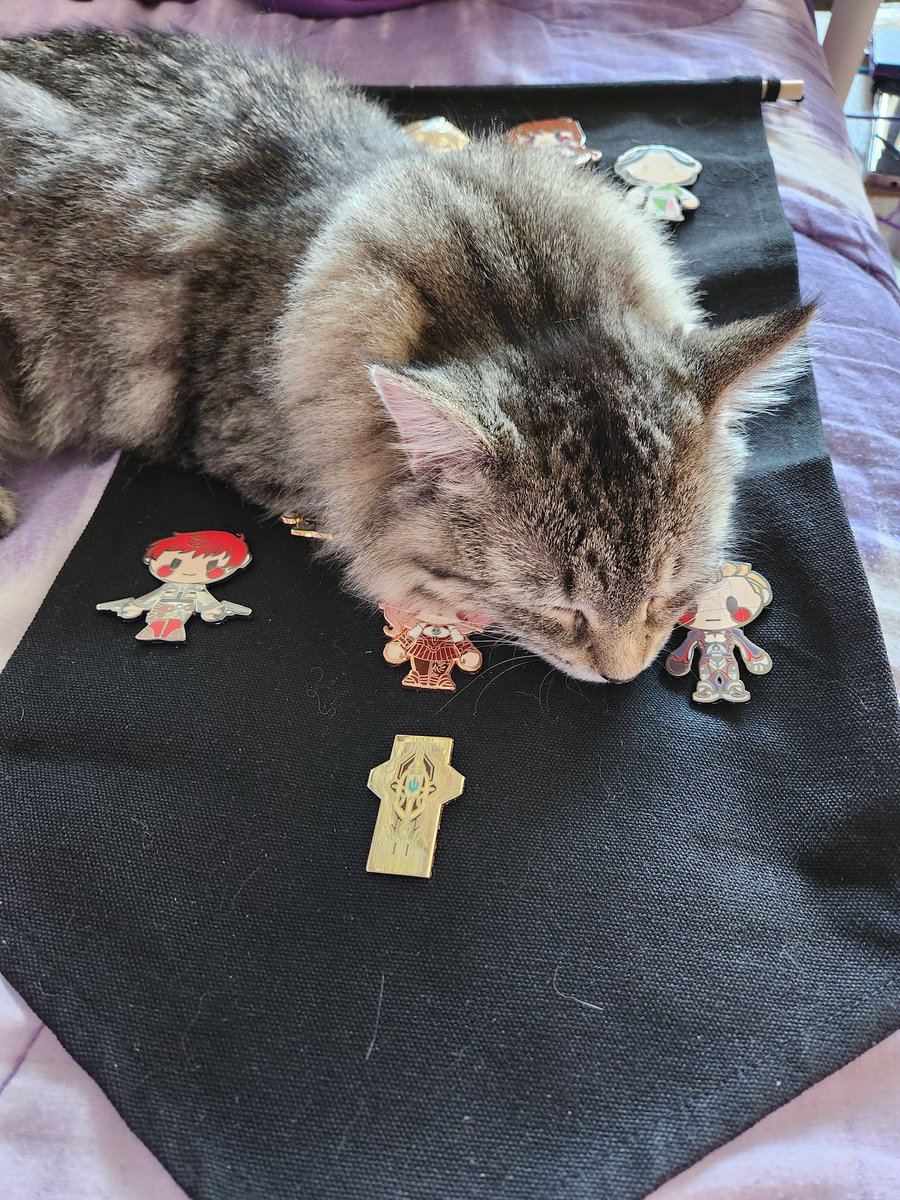 Michelle tweet media