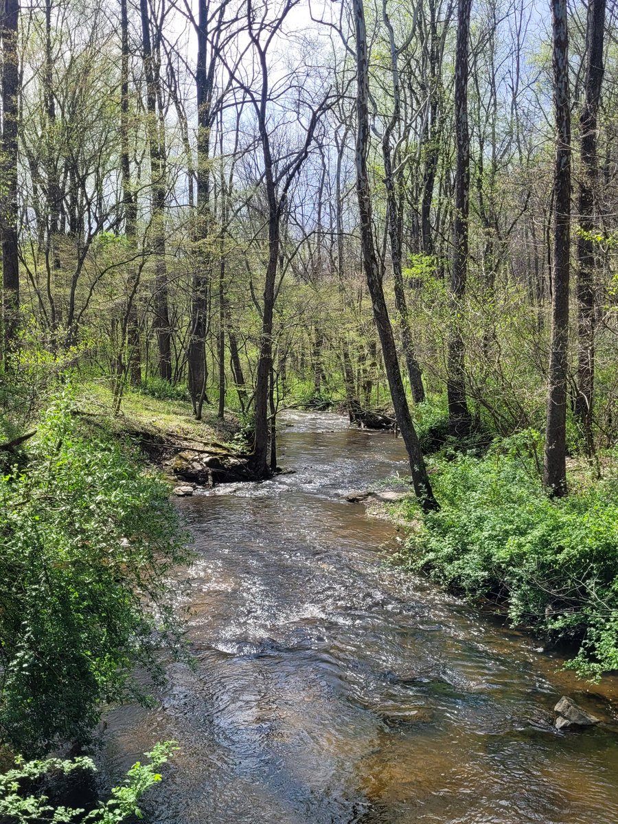 kellercre8s's tweet image. Beauty of a hike with my oldest, my nature lover.  #sweetrun #nova