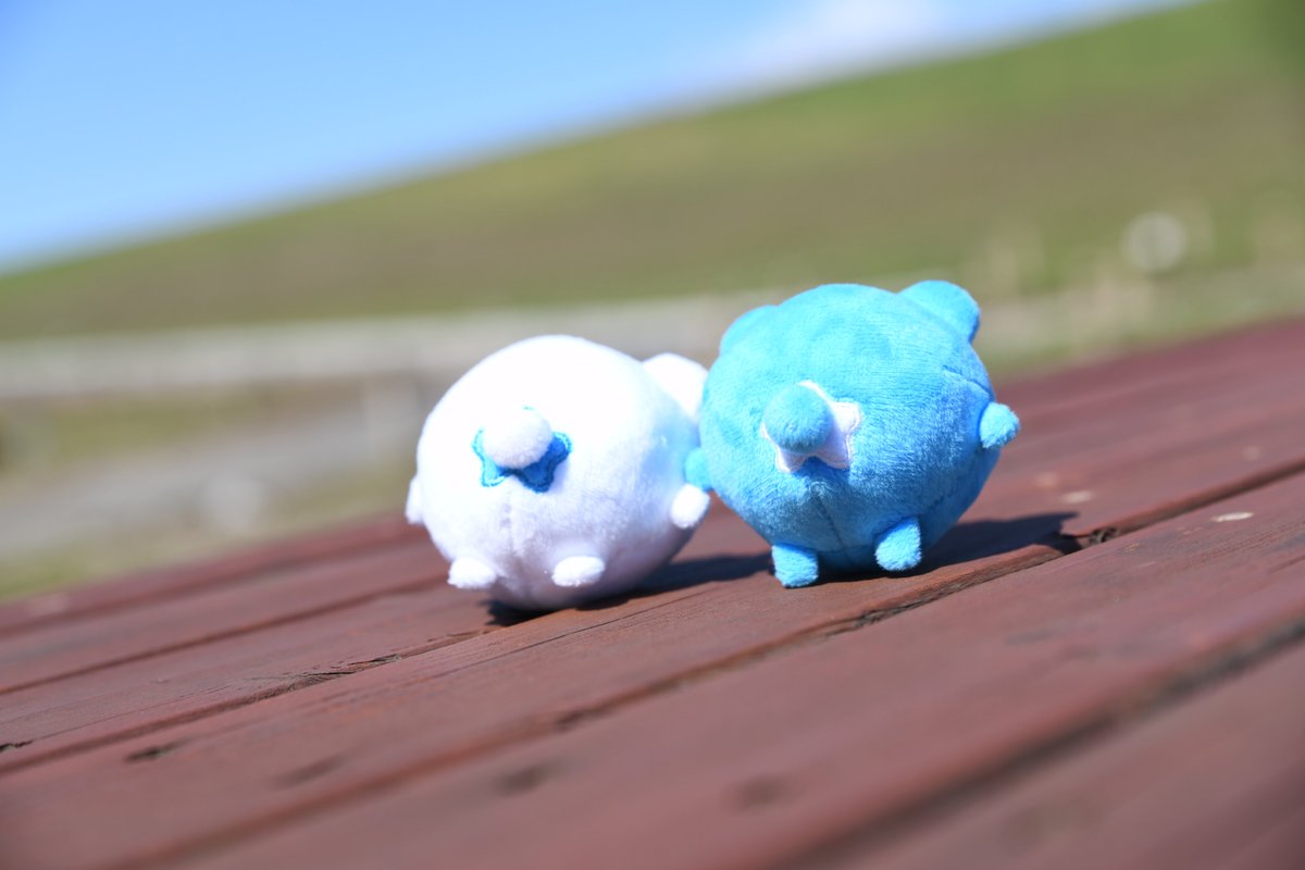 国営ひたち海浜公園 の新たなマスコットキャラクター「ルリィ