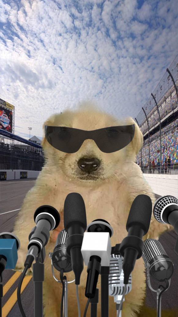 Jotchua 🐶💰 tweet media