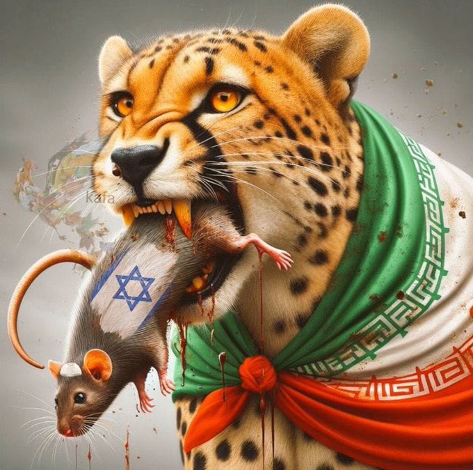 jodachba's tweet photo. @RNacional_News https://t.co/dDuJQiWkem