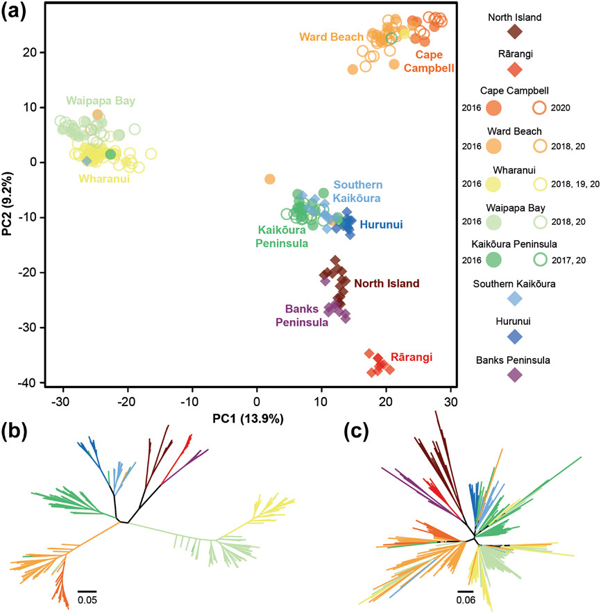 First genomic snapshots of recolonising lineages following a devastating earthquake
nsojournals.onlinelibrary.wiley.com/doi/10.1111/ec…