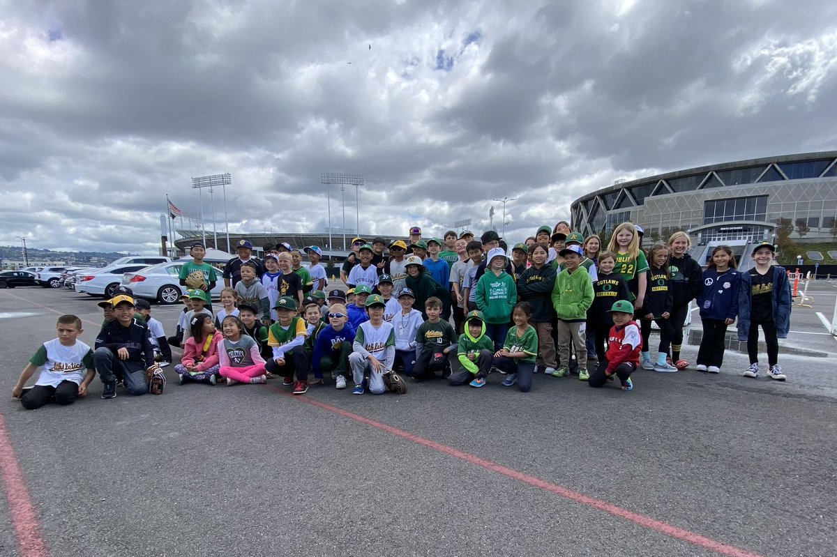 Dublin Little League tweet media