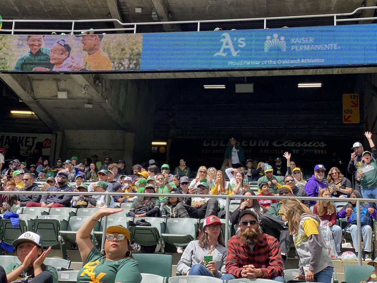 Dublin Little League tweet media