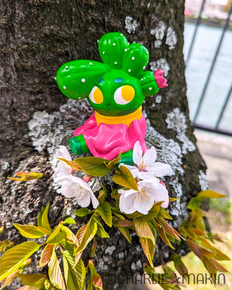 🌸サボテンの子と桜🌵
🌵Cactus Kid and sakura🌸
#サボテンの子 #CactusKid #ソフビ #sofubi #arttoy #toycollector #sofvi #arttoy #resintoy #designertoys #cactus #サボテン #flower #花 #cherryblossoms