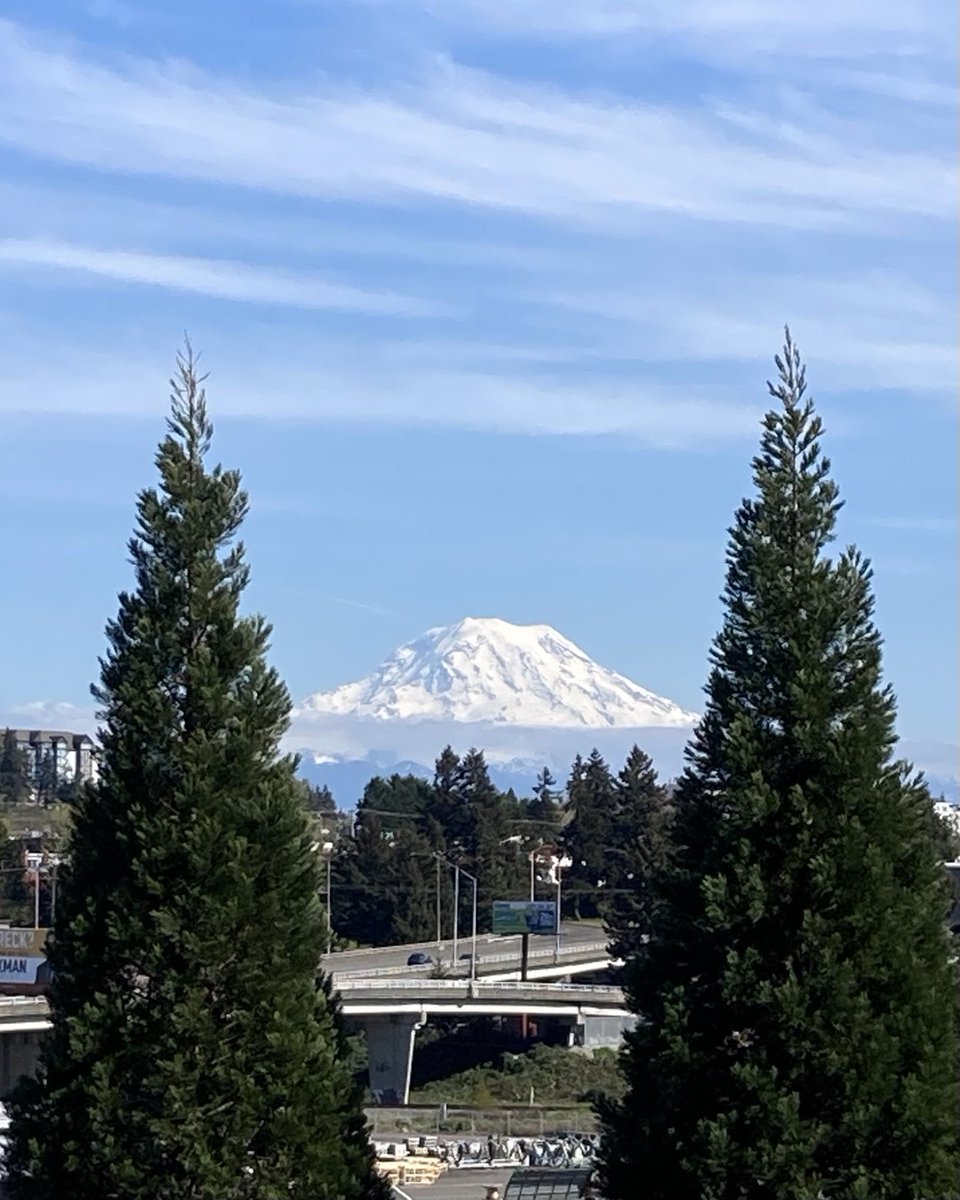 The mountain is out! (Shot from the upper parking lot at the Tacoma Public Utility building.) #tahoma #pnw #mtrainier #wawx #tacoma ⁦@MtRainierWatch⁩