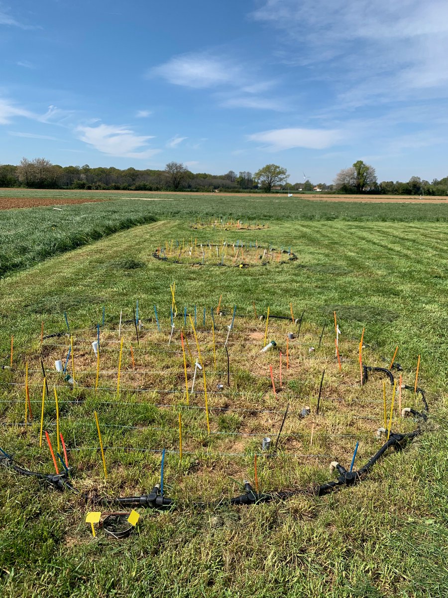 We're excited to announce a 2 and half-year postdoc opportunity on modeling at @INRAE in collaboration with Berclaky, USA on soil warming. Check out the details & desired profile here: drive.google.com/file/d/1BgdWjU…. If you're passionate about modeling & ready to contribute, contact us.