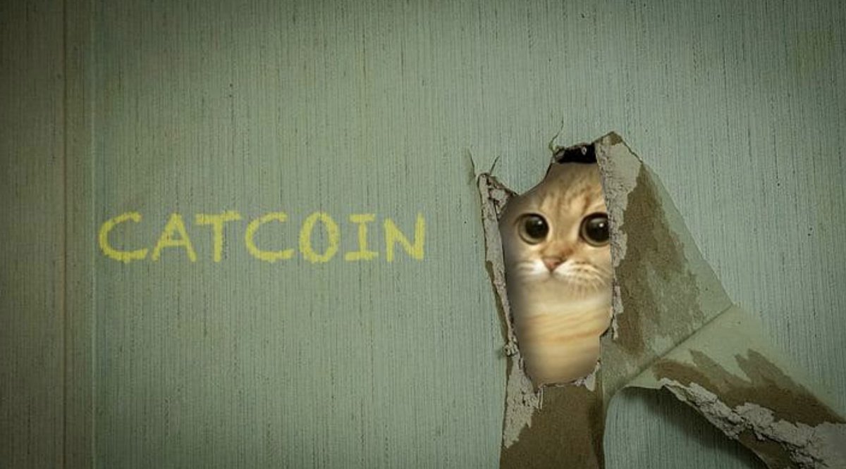 CatCoin tweet media