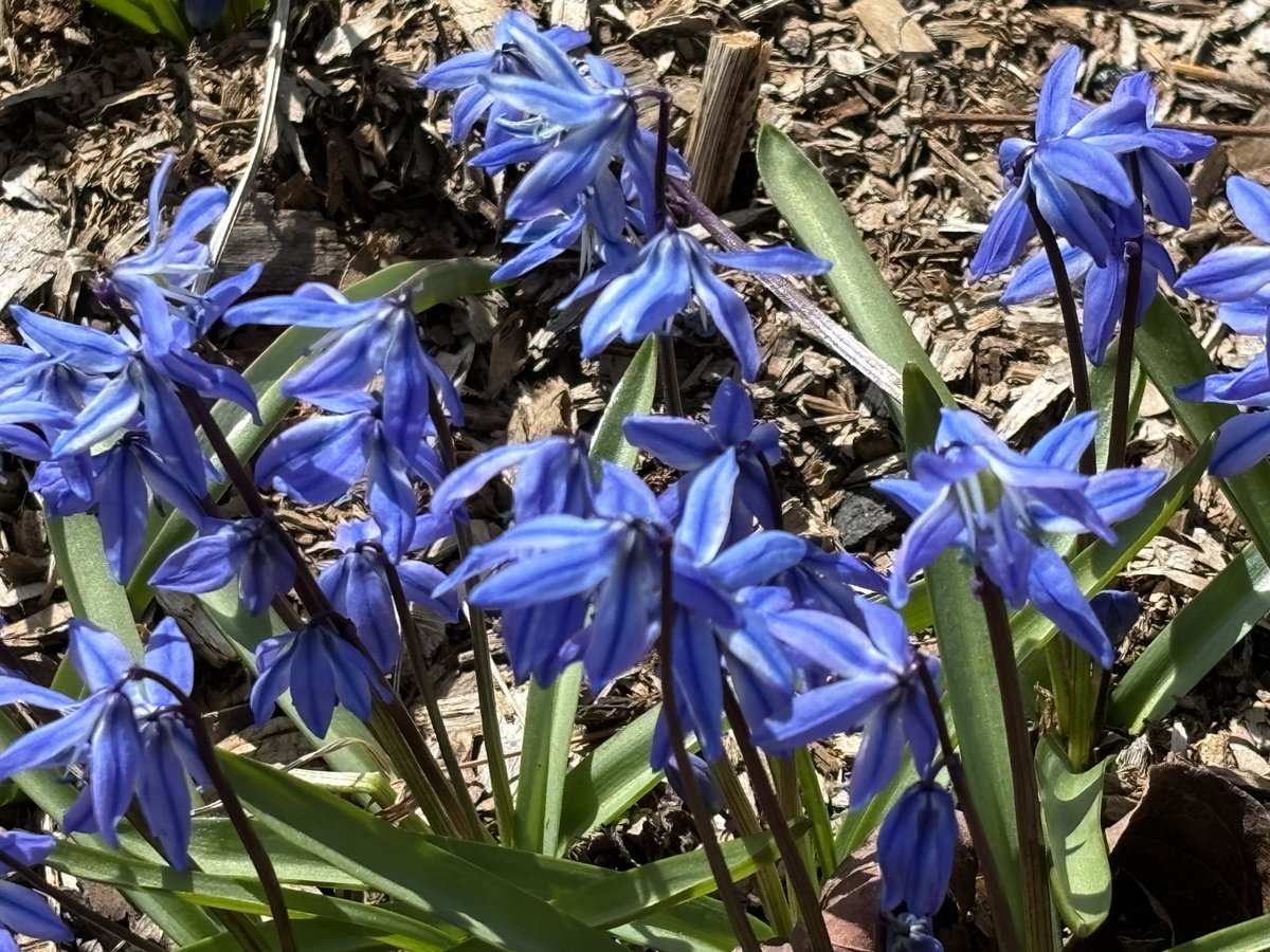 Sally Rowe tweet media