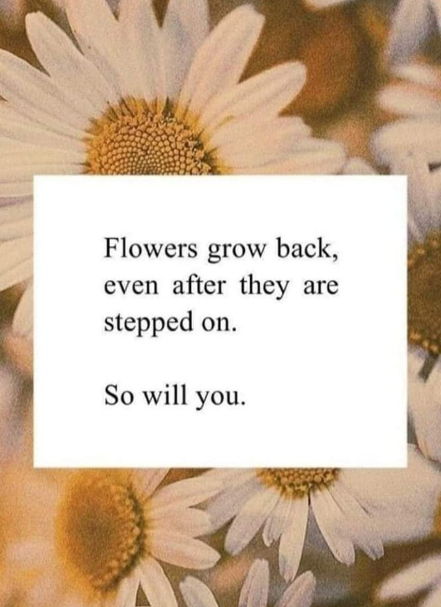 Michelle Hardie 🇨🇦 🍎 tweet media