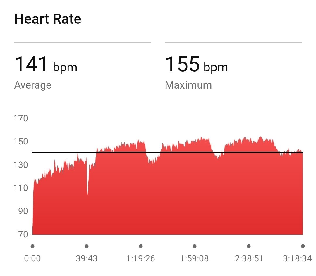 Week 9, Day 7 of OC Marathon training.  

Long run. 20 mi @ 0, 0.5, or 1 incline.   
-4 mi @ 5.2-5.5 mph
-3 × 4 mi @ 6.6 mph, 1 mi @ 5.5 mph
-1 mi @ 5.5 mph

Finish time: 3:18:34
Avg pace: 6.04 mph (9:56 min/mi)
Avg heart rate: 141 bpm
Elev gain: 435 ft

#ComicConFit #running