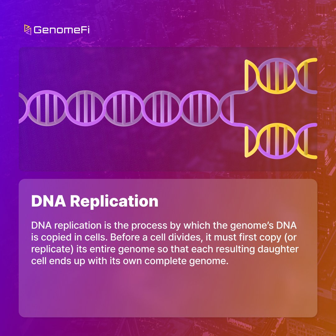 Keyword Snapshot  D -  6

Unlocking the Code of DNA Replication

Explore the fascinating world of genetics with our Keyword Snapshot card. 

#Genome #Blockchain #Polygon #PolygonLabs #Card #DNA #GENO