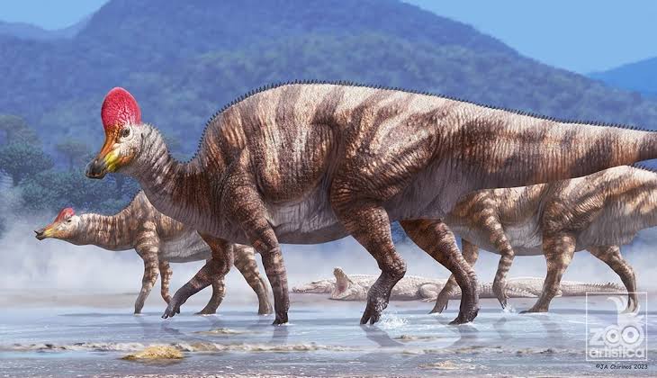 You know what? Ornithopods are very underappreciated dinosaurs and my profile photo is an ornithopod... 

This is going to be an appreciation post for ornithopods now, show your favorites below and I might even draw them later. Duckbills supremacy >:)