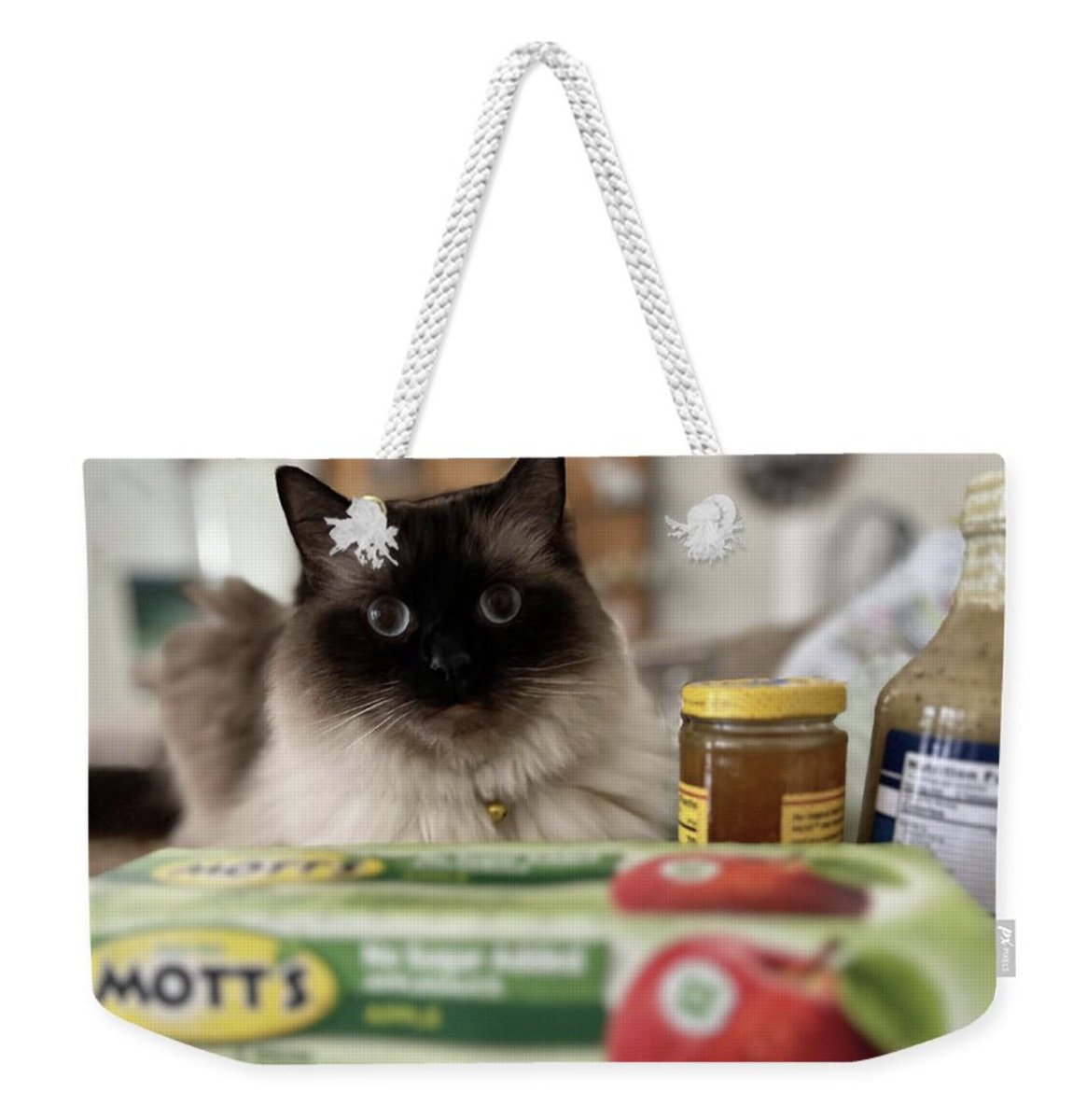 Ragdoll Cat Shopping Day - Weekended Tote Bag
karen-rosenblatt.pixels.com/featured/ragdo… 
#ragdollcat #catlovergift #catphotaography #BuyIntoArt #ShopEarly #GiftThemArt #AYearForArt #BuyArtNotCandy #ShopEarly #HolidayShopping