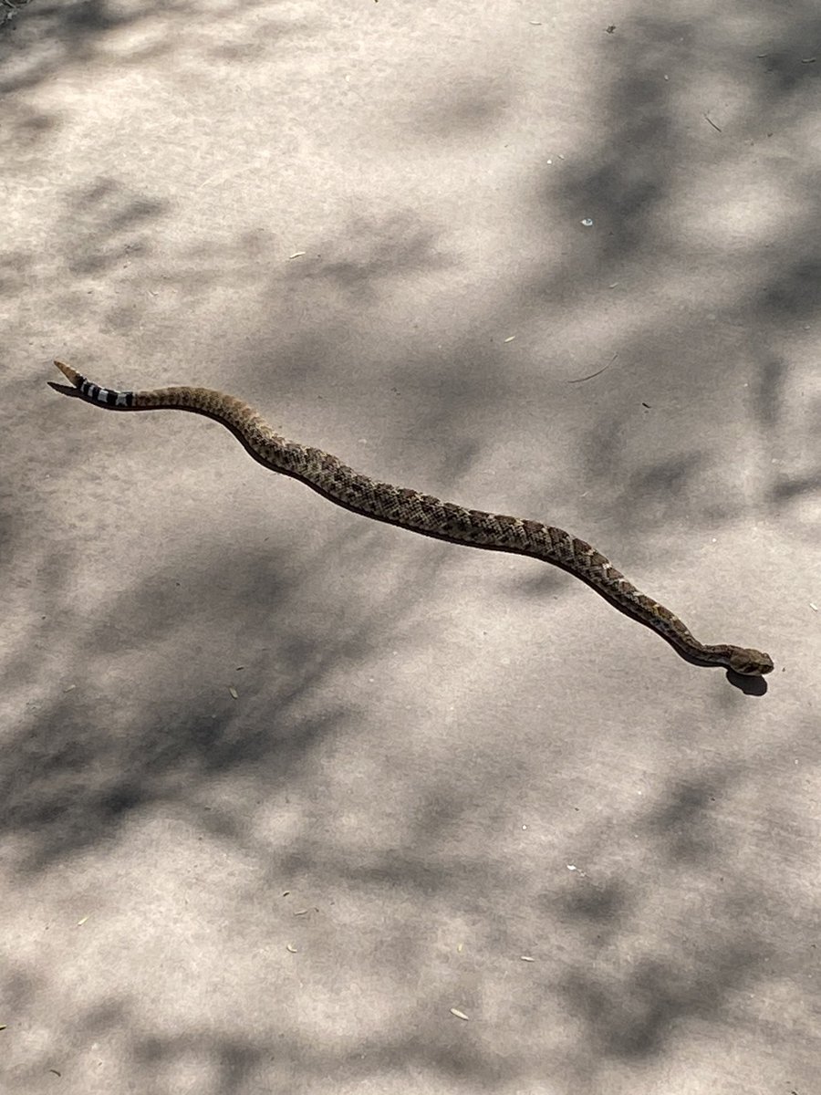 Ivan Liachko 🇺🇦 @ivanliachko.bsky.social tweet media