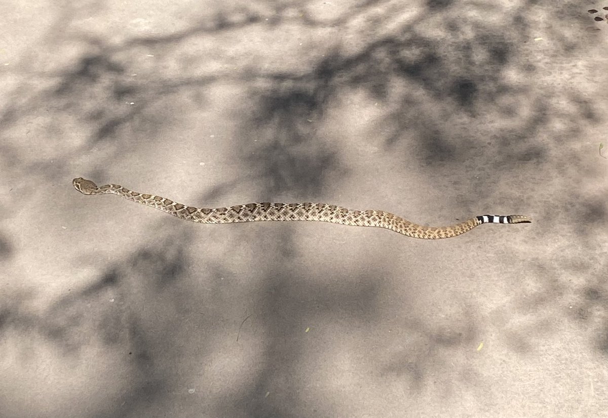 Ivan Liachko 🇺🇦 @ivanliachko.bsky.social tweet media