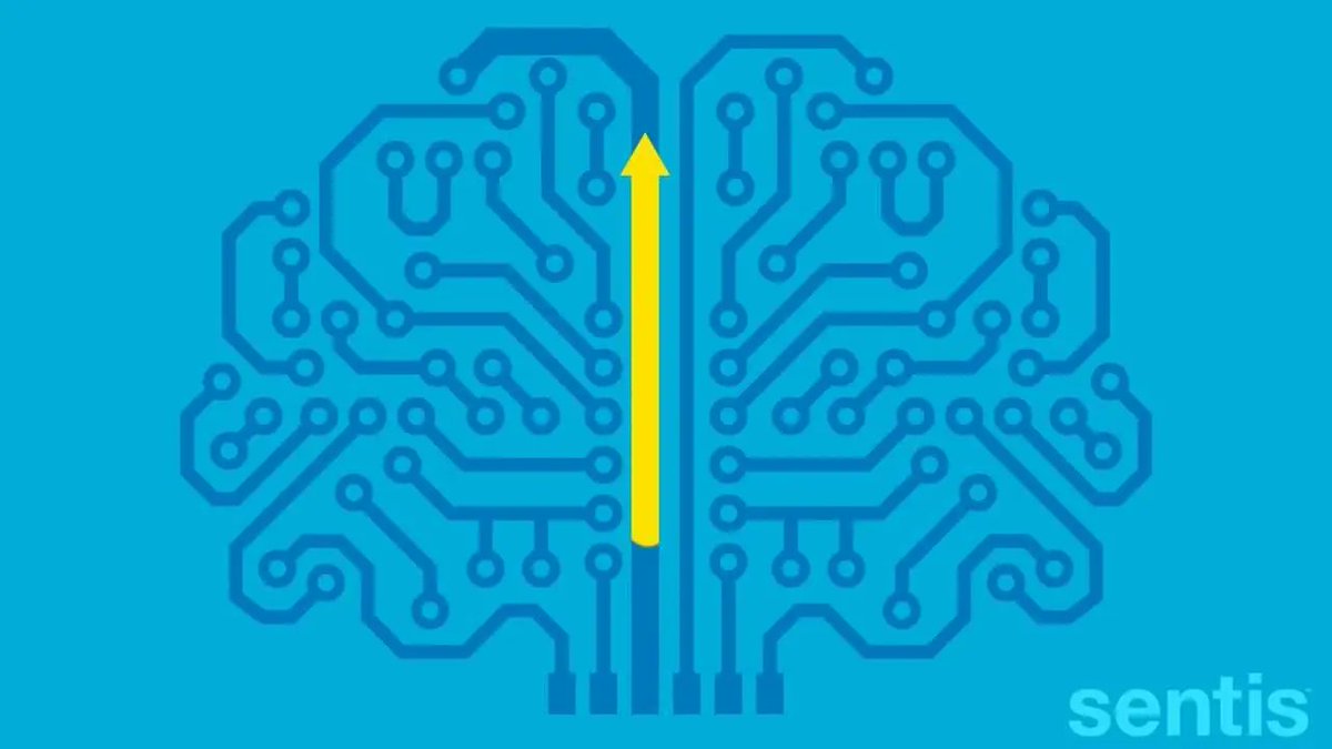 Neuroeducation and neuroplasticity | nEdu & nDev

El Mito de la Creación Bioma Mata Atlântica Neuropolitics - Saúde e... brainlatam.com/blog/el-mito-d…