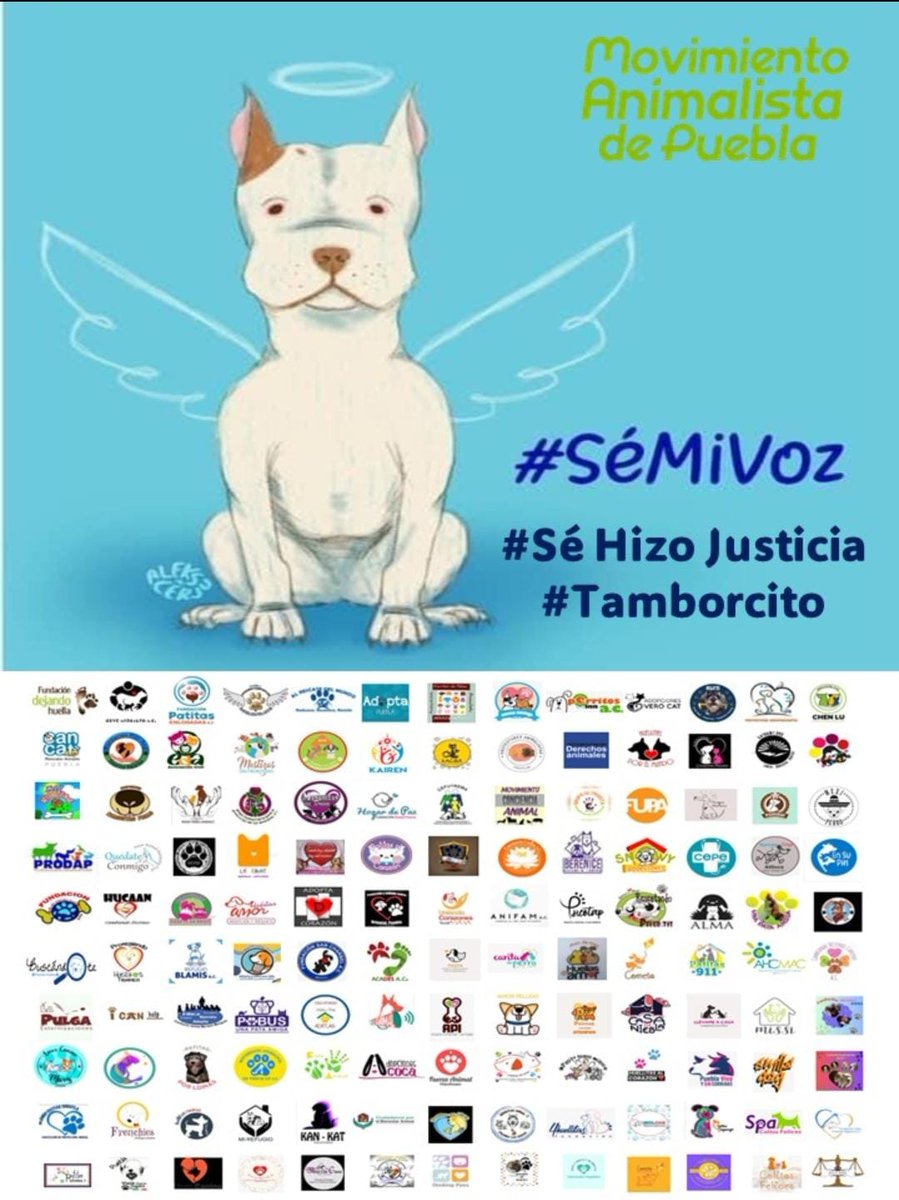 Hoy después de más de 3 años #Tamborcito tuvo justicia. El día de ayer la @FiscaliaPuebla ejecutó la orden de aprensión vs Luis Enrique N por el presupuesto responsable de la muerte de #Tamborcito. El día de hoy fue vinculado a proceso y prisión preventiva justificada #justicia