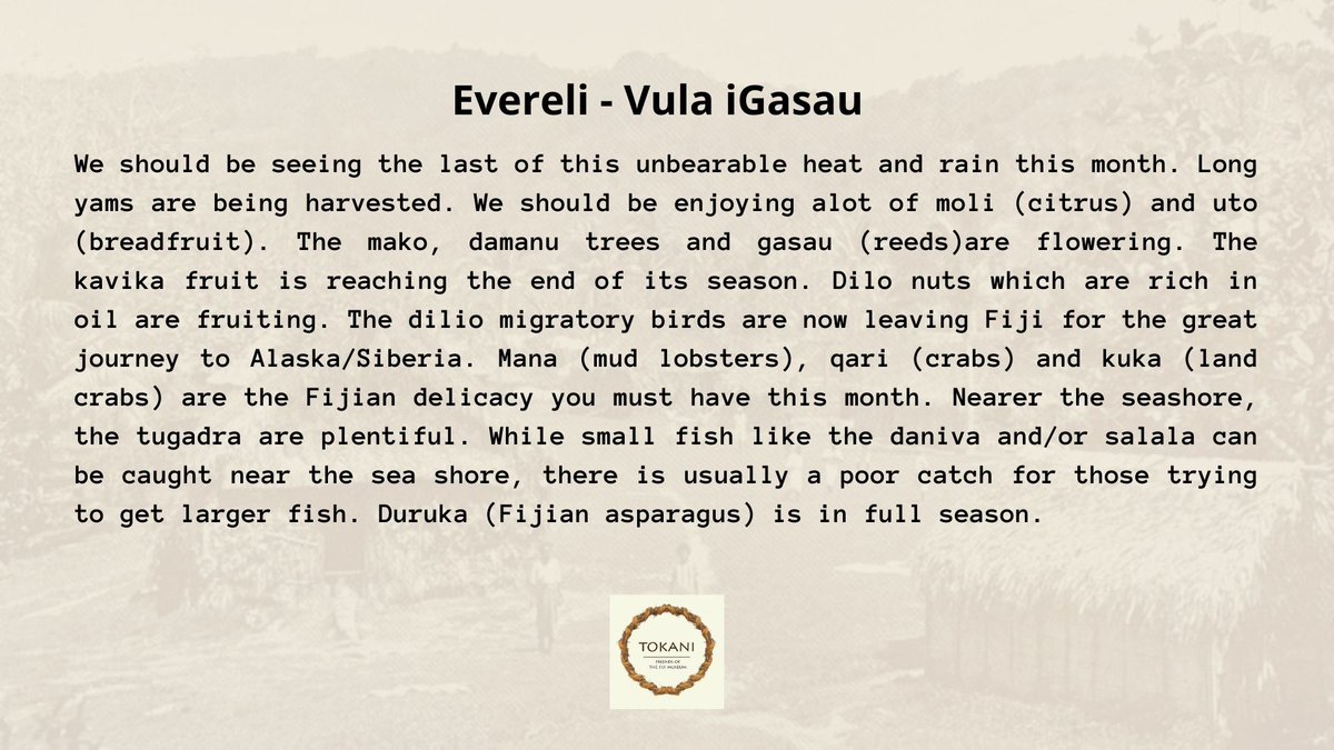 Evereli, welcome.
[better late than neverrr! 📷]