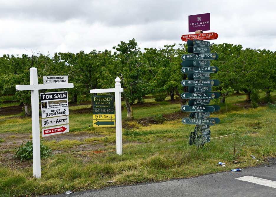 AgWriterVLBoyd's tweet image. Signs of the California #winegrape oversupply. Some vineyards still have fruit hanging from last year that was never harvested because growers had no contracts. There are lots of for sale signs around the #Lodi area latimes.com/environment/st…