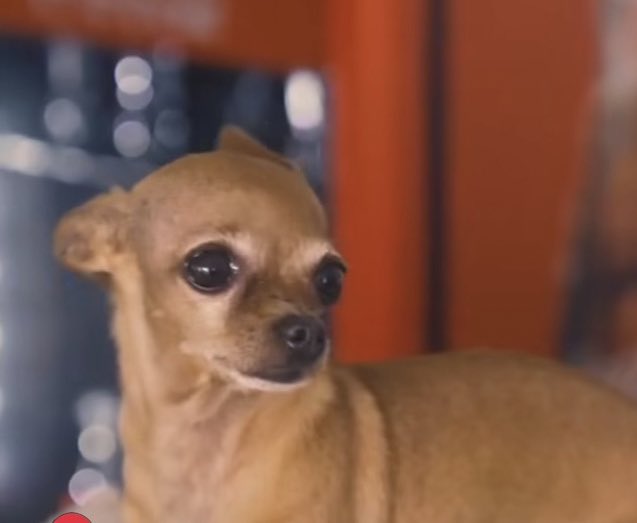 AIIIII QUE SACO NAO QUERO FALAR SOBRE ISSO SE NÃO EU VOUU CHORARR PORRAAAAAAAAA