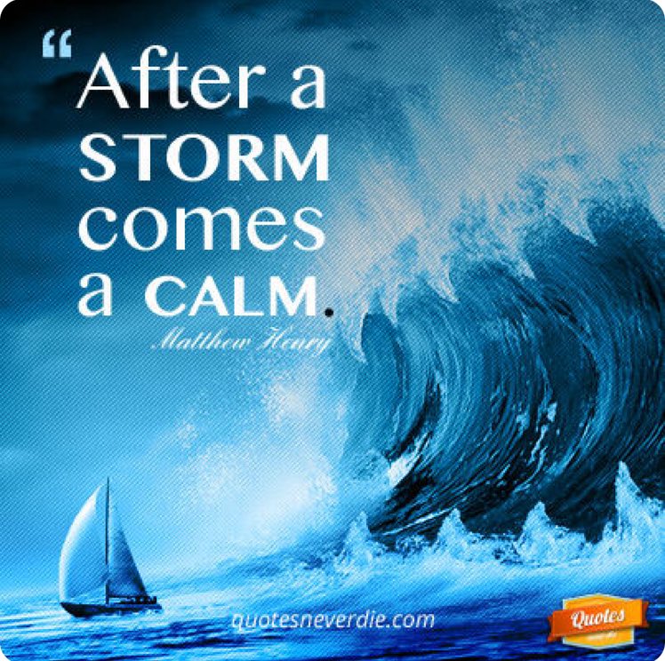 Just remember about The Storm ⛈️ ⚡️⛈️⚡️⛈️⚡️ #GoStormy #BlueWaveRising 💙⛈️💙⛈️💙⛈️💙⛈️💙⛈️💙